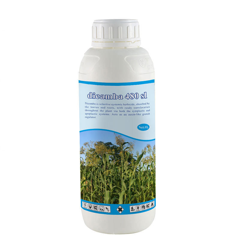 Free Sample Weed Killer Herbicide Dicamba 48% SL as Suppliers Technical Price Customized Label Featured Image