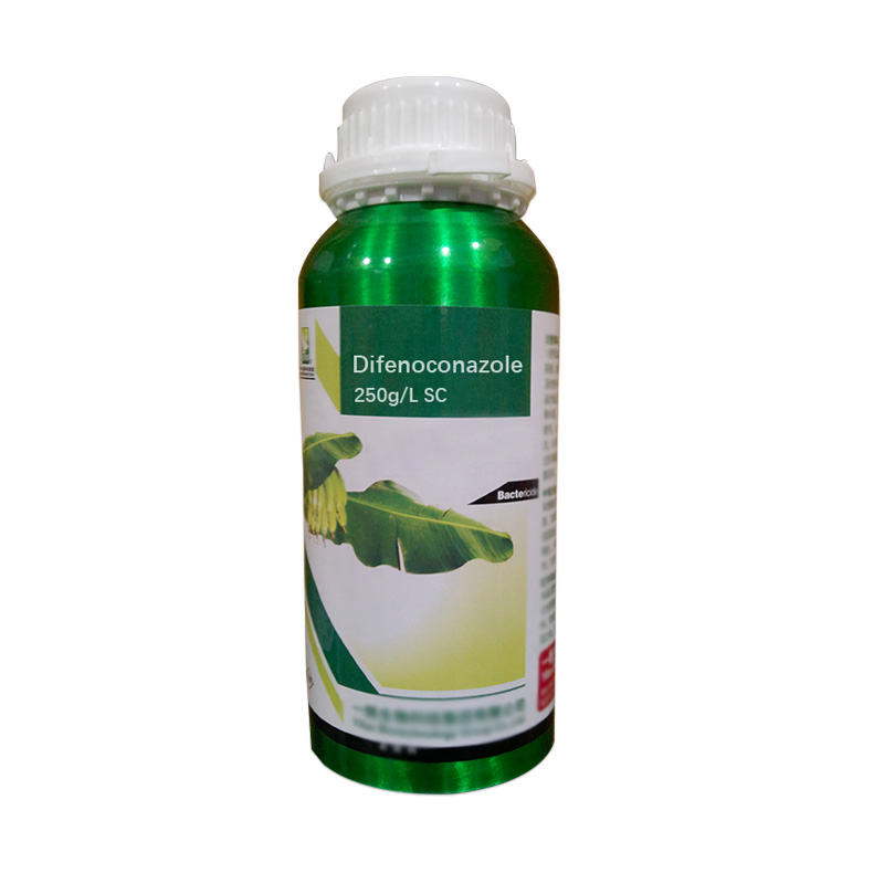High quality of agrochemical Pesticides fungicides 250g/L EC Difenoconazole Featured Image