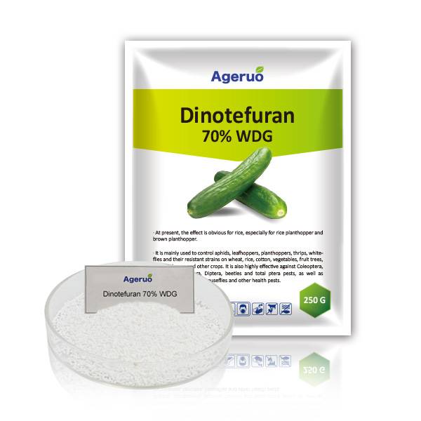 Top Suppliers Bifenthrin - Ageruo Dinotefuran 70% WDG & Broad Used Dinotefuran Products – AgeruoBiotech
