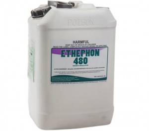 Ethephon 720 g/L SL
