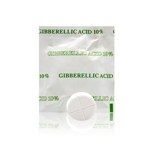 Ageruo Gibberellic Acid 10% TB (GA3 / GA4+7) for Seed Germination with Best Price