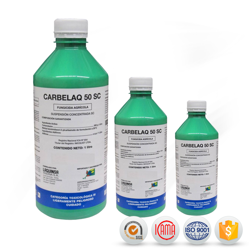 OEM manufacturer Benzoate Emamectin - Fungicide agriculture Carbendazim 50%WP price Carbendazim 50%WP – AgeruoBiotech