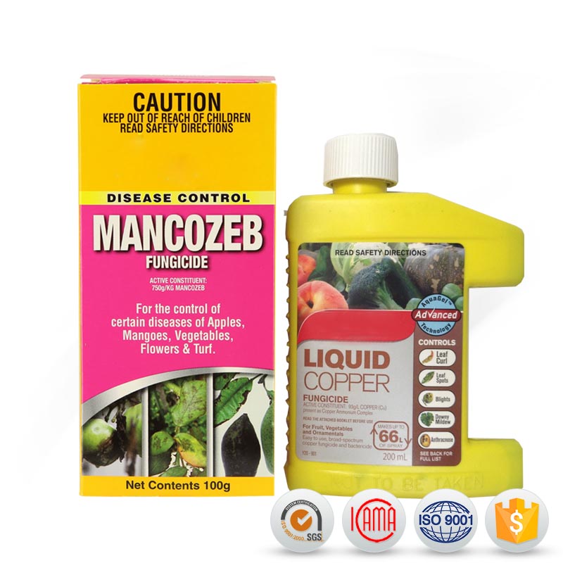 OEM Factory for Imidacloprid Technical - agrochemicals fungicides Mancozeb 80% WP with reasonable price – AgeruoBiotech