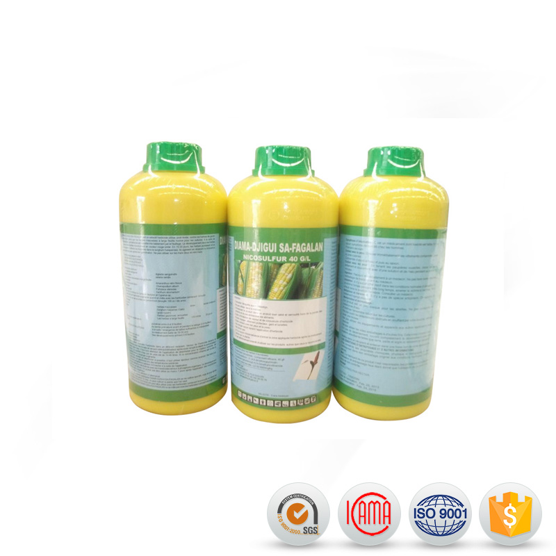 High reputation Thidiazuron - Agrochemicals Pesticides Herbicide 80%WDG Nicosulfuron with fast delivery – AgeruoBiotech