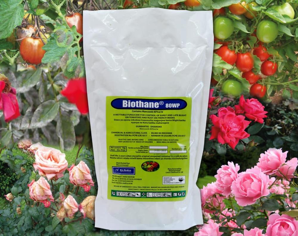 Wholesale Price Amitraz - Best selling agrochemicals fungisida  fungicides Mancozeb 80% WP for roses rust – AgeruoBiotech