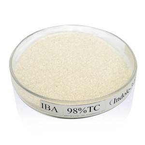 Indole-3-butyric acid 98% TC of Ageruo IBA for Rooting Hormone