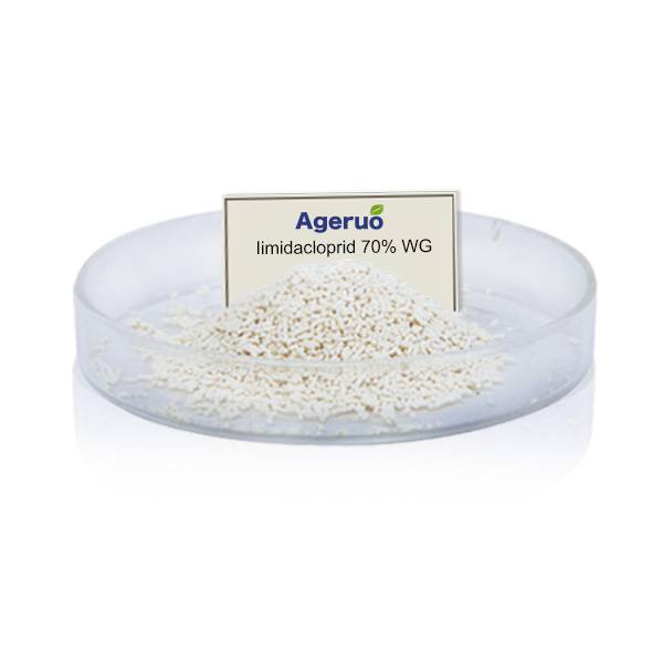 OEM/ODM Supplier Dinotefuran - Pesticides Insecticide Imidacloprid 70% WG with Best Price – AgeruoBiotech