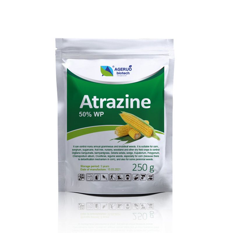 Herbicide in corn field Atrazine50%WP 50%SC Featured Image