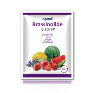 Ageruo Professional Supplier Brassinolide 0,004% SP para Fertilizante Promover