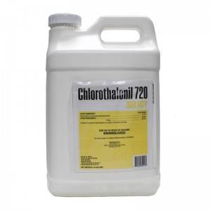Chlorothalonil 75 wp kalitate handiko prezio profesionalarekin