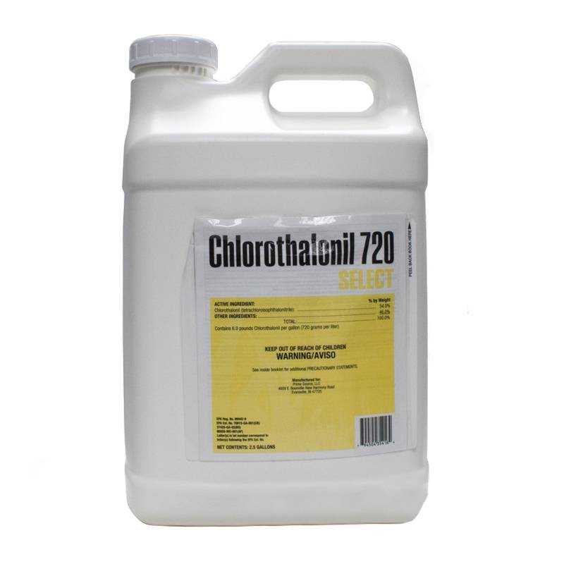 OEM Factory for Imidacloprid Technical - Professional price chlorothalonil 75 wp with high quality – AgeruoBiotech