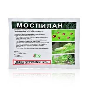 Ageruo Systemic Insecticide Acetamiprid 70% WG សម្រាប់សម្លាប់សត្វល្អិត