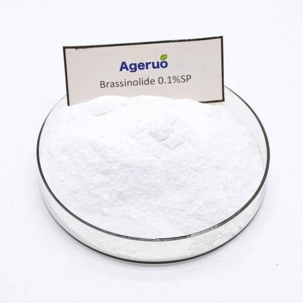 Ageruo 90% TC Brassinolide use of Natural Plant Hormone Featured Image