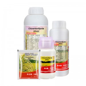 Agriculture Supply White Powder Insecticide chlorantraniliprole 20% SC 30%WDG 95 TC 5% EC With Factory Price