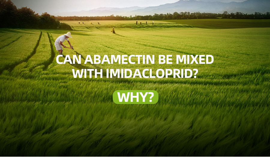 Can abamectin be mixed with imidacloprid? Why?