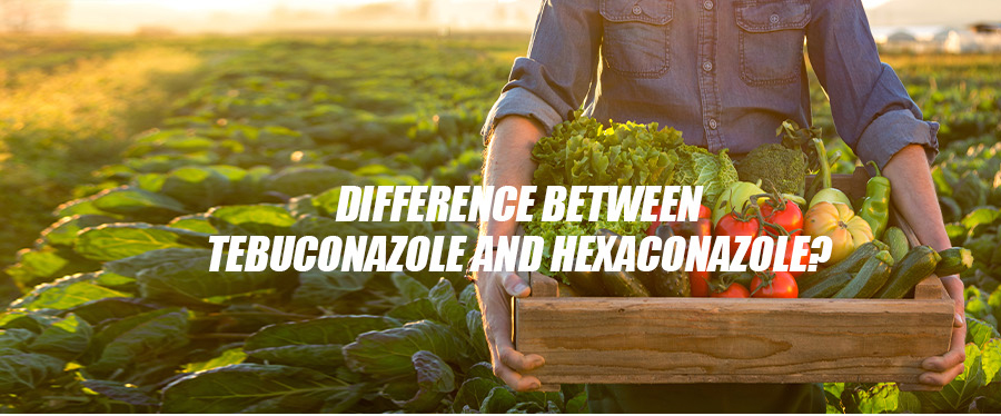 Cal é a diferenza entre tebuconazol e hexaconazol?Como elixir ao usalo?