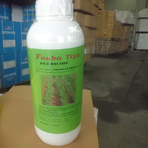 Nicosulfuron 4% SC para herbicida de herbas daniñas de millo
