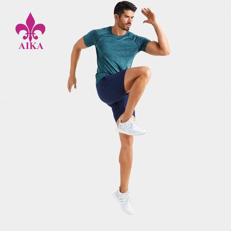 Professional Design Seamless Pants -  Custom Wholesale Fitness Wear Sports Gym Poleyster T Shirts For Men – AIKA