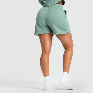 Fleece Cotton Polyester Elastic Waist Sports Workout Women Sweat Shorts
