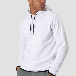 Just Arrived Custom Logo Printing Wholesale 95% Cotton 5% Spandex Plain Hoodie Pullover For Men