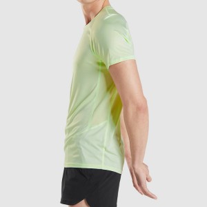 Wholesale Quick Dry Polyester Mesh Panel Slim Fit Workout Plain Gym T Shirts For Men