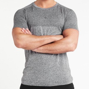 Wholesale Nylon Spandex Bodybuilding Slim Fit Gym Seamless T Shirts Custom Logo For Men