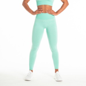 Best Sell Custom Nylon Spandex Four Way Stretch High Waist Seamless Yoga Gym Leggings For Women