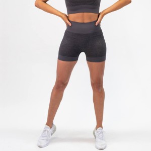 Wholesale Custom Logo High Waist Women Workout Seamless Yoga Fitness Shorts