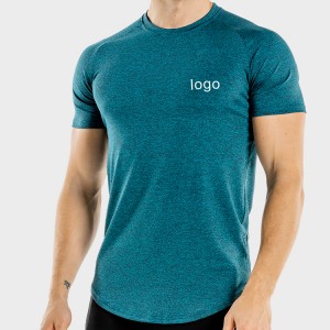 Custom Printing Wholesale Lightweight Men Raglan Sleeve Plain Polyester Gym T Shirts