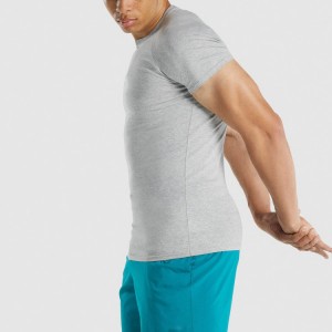 High Quality Bodybuilding Raglan Slim Fit Men Custom Blank Gym Sports T Shirts