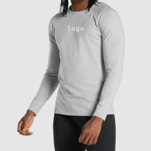 Factory Price Athletic Fitness Quick Dry Raglan Plain Gym Long Sleeve T Shirts For Men