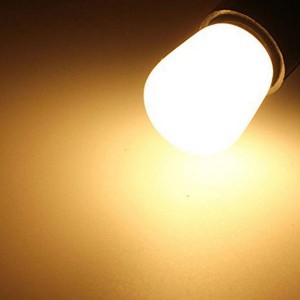 1.2W to 3W LED Fridge Light AC220-240V Freezer Bulb Lighting for Refrigenration