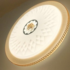 Two color Ceiling Light 30W with Different cover Design for Baby Room