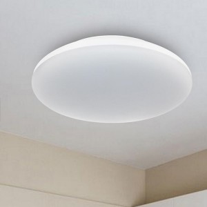 LED Ceiling Mount Down light with Round simple design Cover