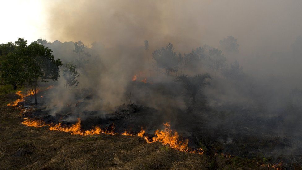 Indonesia Burning Practice Make Haze, Air Purifier Helps