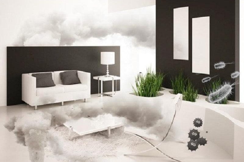 The Crucial Role of Air Purifiers in Safeguarding Indoor Air Quality