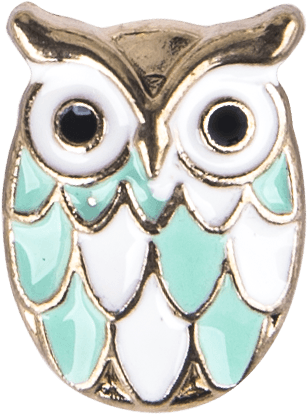 Hot-selling Manufacturing Desktop Organizers - Owl Shape Plastic Drop Thumbtack – Aiven