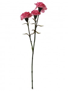 Artificial long stem carnations flowers spray for Mother’s Day Decoration-Carnation stem-BA3017007