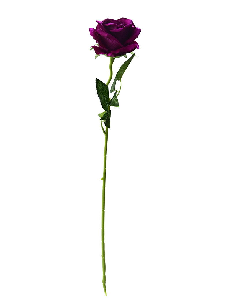 Tianjin Factory Wholesale Single Velvet Rose Flowers Cheap Price-rose stem ZA3017003