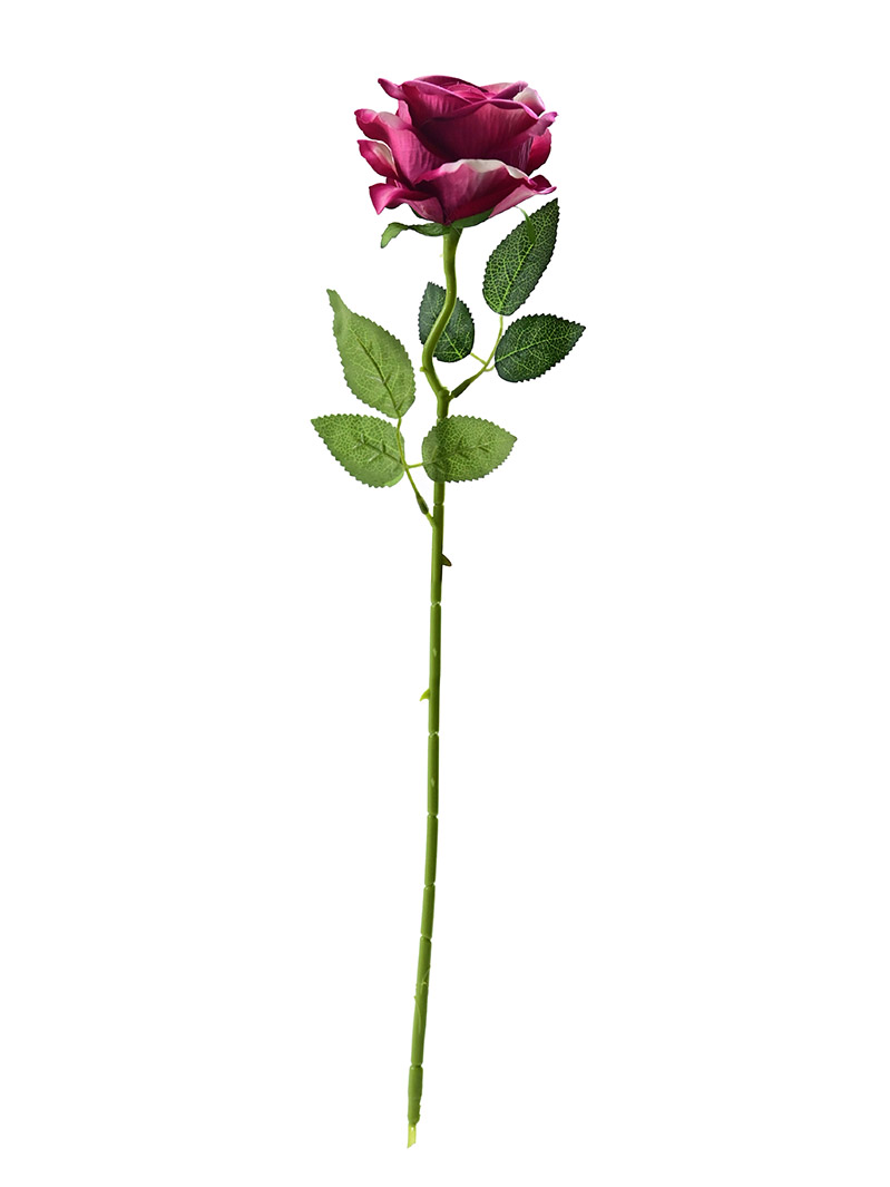 Tianjin Factory Wholesale Single Velvet Rose Flowers Cheap Price-rose stem ZA3017003