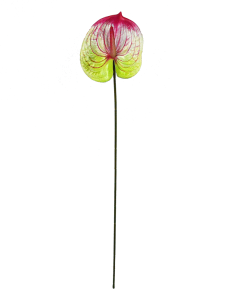 Anthurium yubukorikori bwubukwe nibirori byo gushushanya Faux Anthurium-BDD3017004