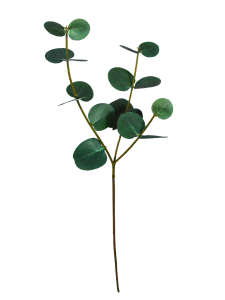 Engros Kina Høy Simulering Eucalyptus Branch Blomsterarrangementer Kunstige Eucalyptus Stems-BDD3017003