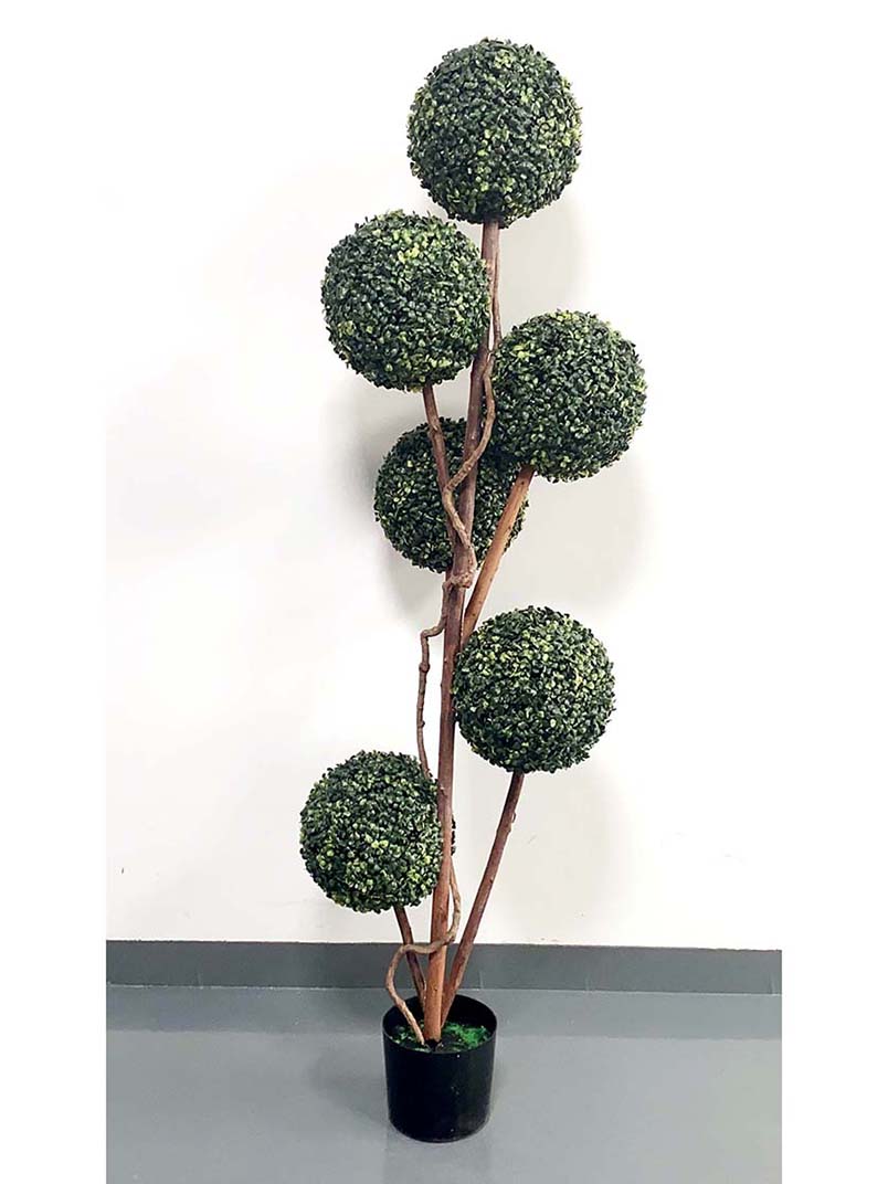 bonsai-XY5230147