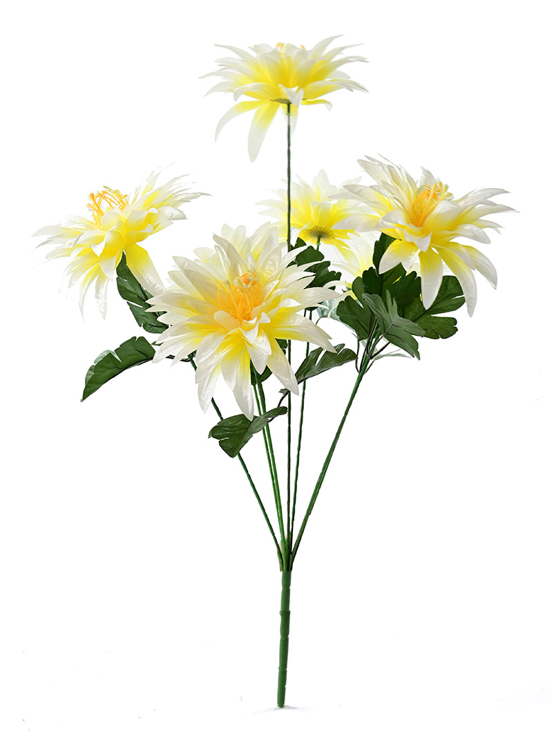 dahlia bouquet-ZA3017008-Y01