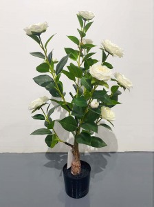 Faux Camellia Plant Tree ຕົ້ນໄມ້ປອມ ຕົ້ນໄມ້ທຽມສໍາລັບເຮືອນແລະຫ້ອງການໃນລົ່ມນອກຕົກແຕ່ງ-ດອກໄມ້ຕົ້ນໄມ້ XY5230121