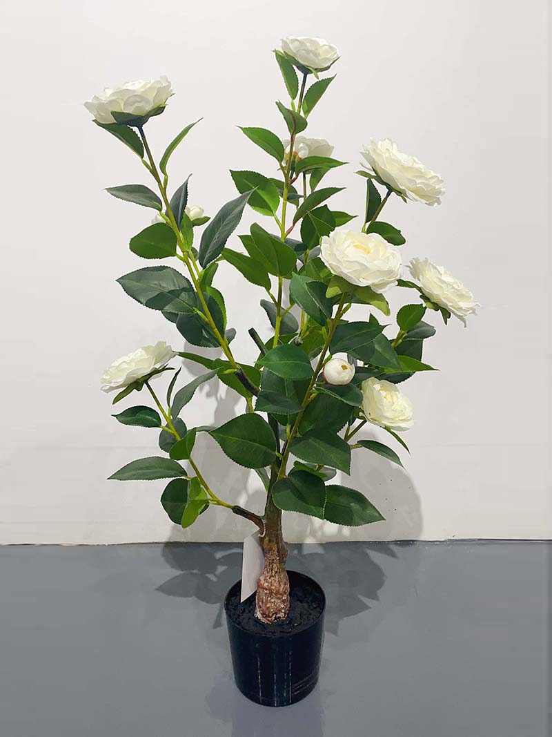 Dara Faux Camellia Plant Dara Fake Dara Artificial ji bo Mal û Ofîsê Xemilandina hundurê hundur-darên kulîlk XY5230121