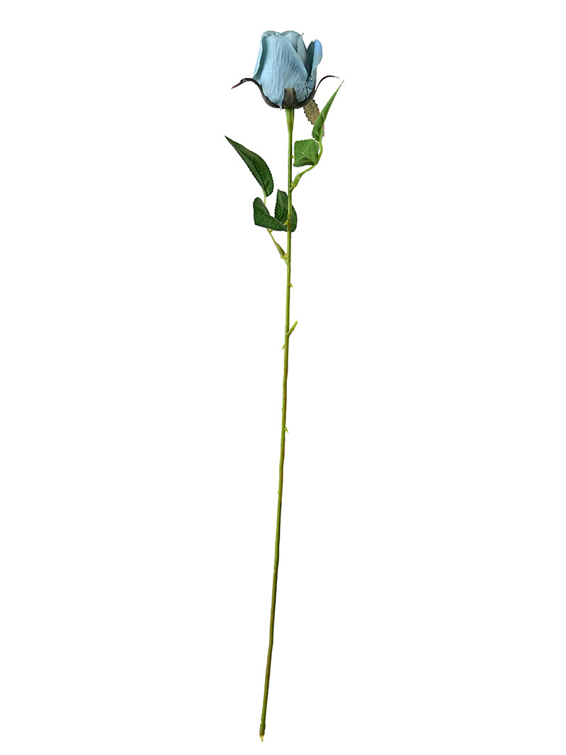 rose stem-BA3017001-B01