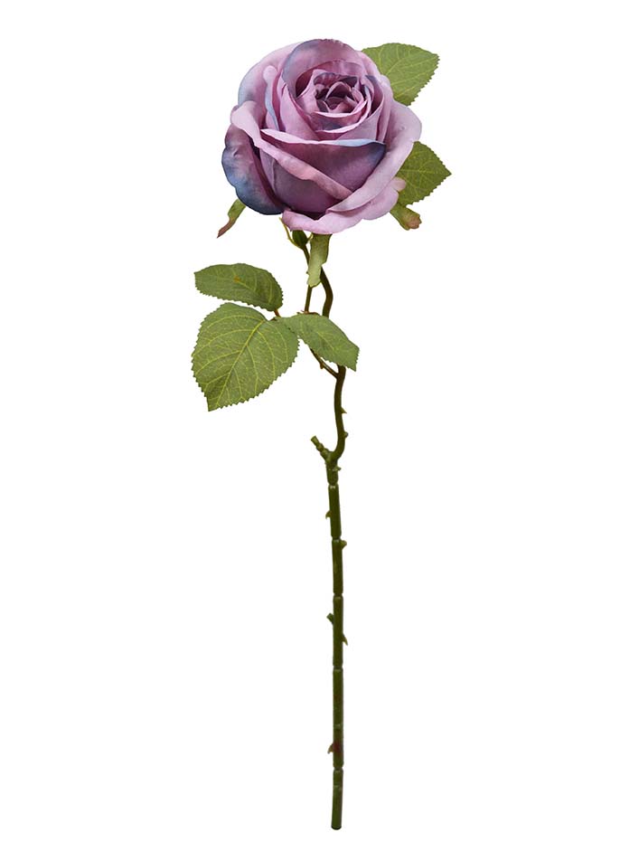 rose stem-YA3017001-P03
