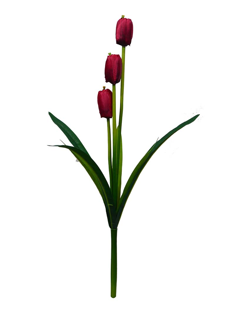 tulip bouquet-YA3017008-R02