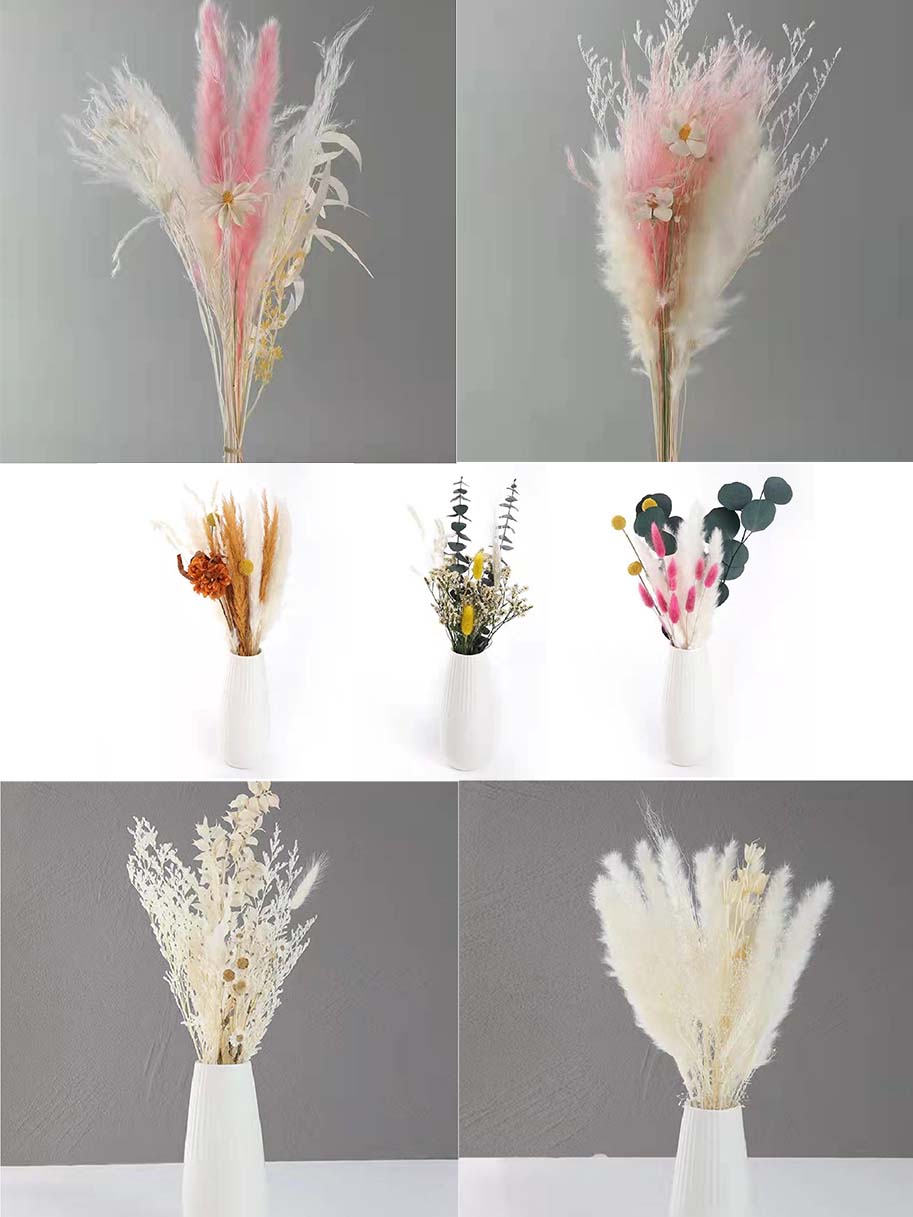 Bouquet dried flowers Pink small Reed 2 White small Reed 2  White Dust Brush 5 White combination dried flower 1,  White Millet Leaf 1 for Wedding Decoration-Dried flowes